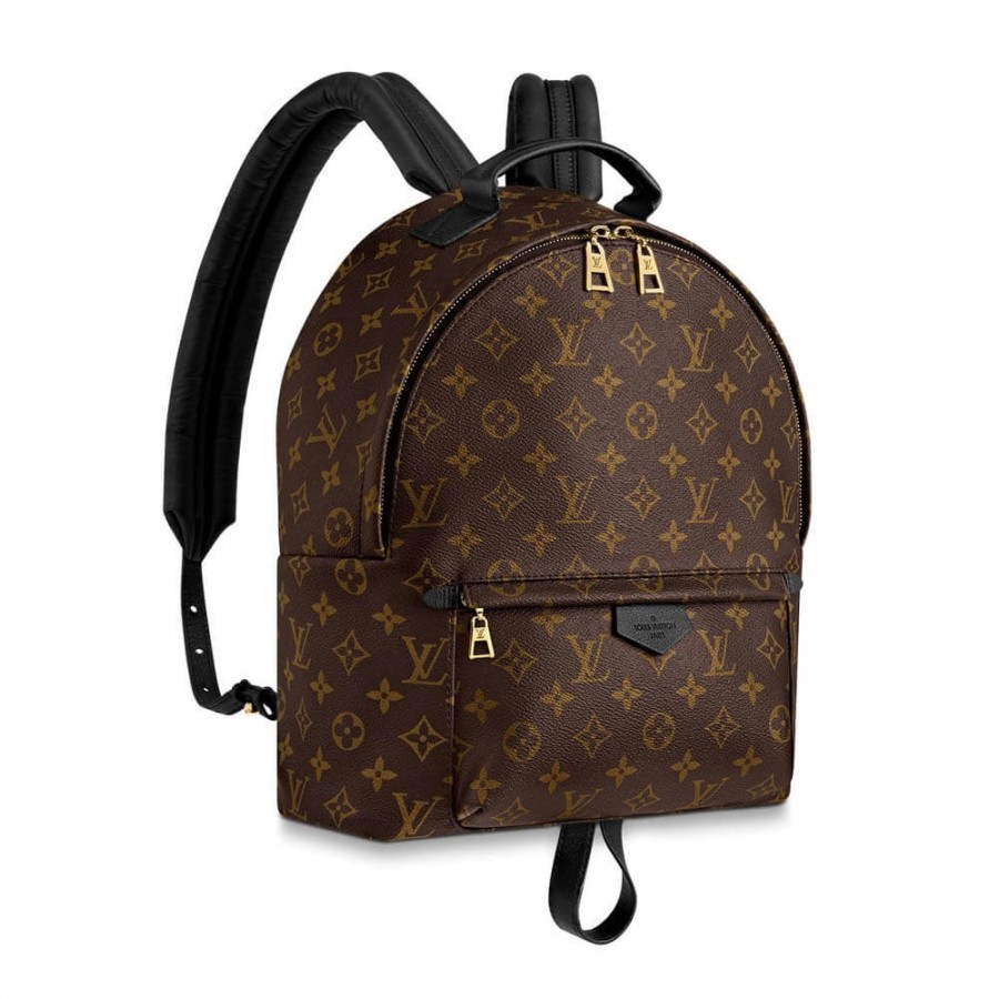 Louis Vuitton Monogram Canvas Palm Springs Backpack MM M41561