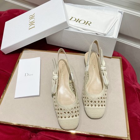 Dior Ballet shoes